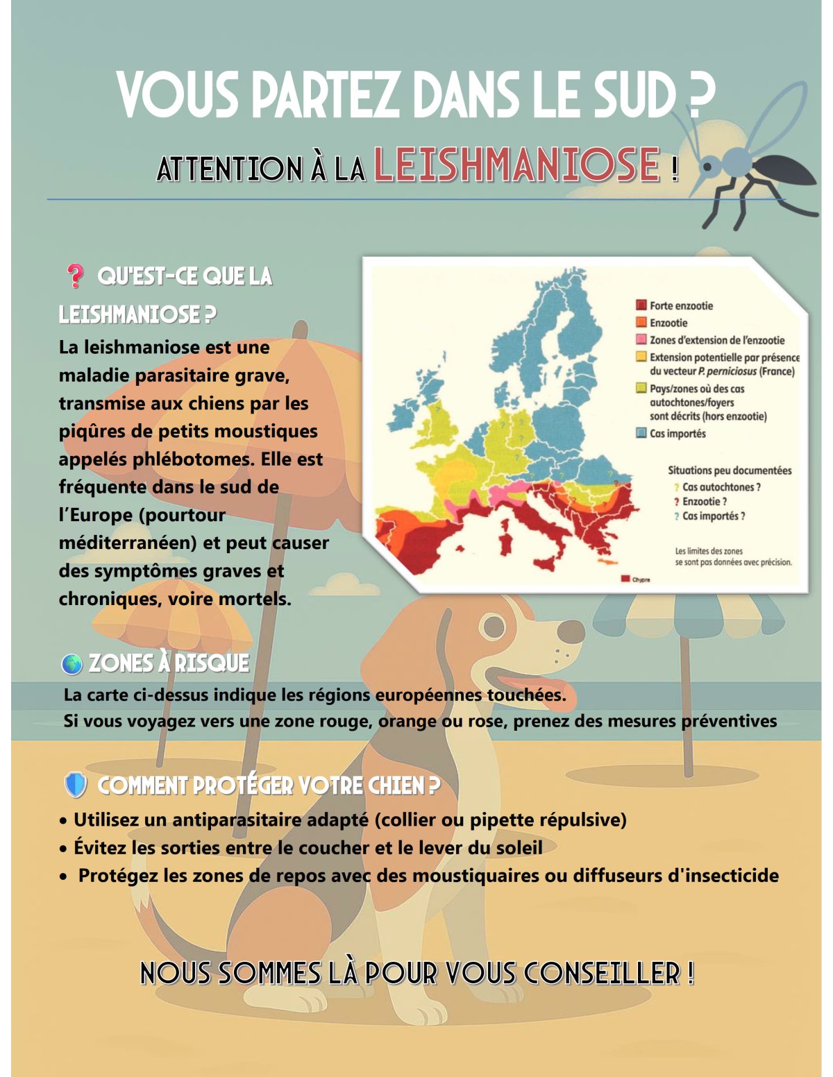 ! Voyages dans le sud !